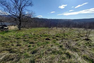 Teren de 2500 mp, în Vest - 8