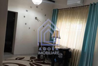 Casa individuala Moara Nica - teren 8 ari - 3