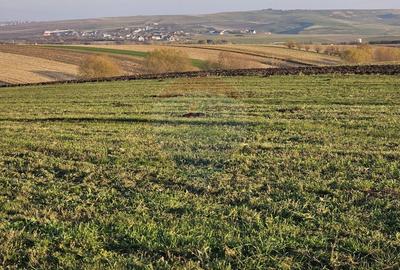 Teren agricol extravilan de 10200 mp, în Stroiești - 6