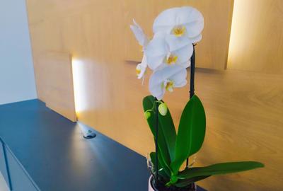 Apartament cu 3 camere decomandat în Nord - 2