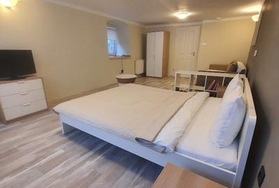 Garsonieră decomandată, mobilată în Centrul Istoric - 5