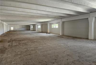 Spatiu Industrial -  6500 mp - Productie - Depozitare - 8