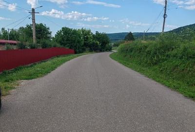 Casă individuală cu 4 camere cu Teren 4800 Mp în Crețești - 6