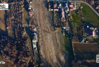 Teren de 11197 mp, în Moșoaia - 5