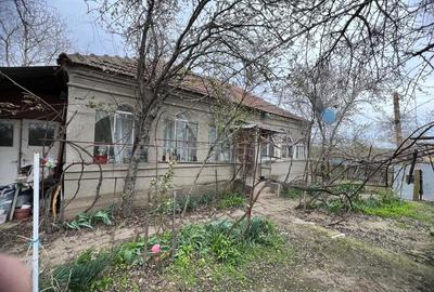 Teren de 2500 mp, în Gângiova - 2