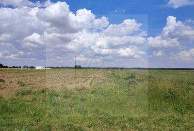 Teren intravilan Ciocanesti Cretu - 9282 mp divizat in 15 loturi - 1