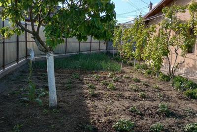 Casa de vanzare 3 camere Slobozia - 4