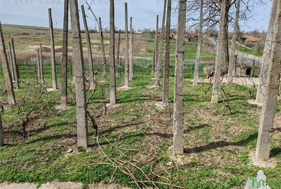 Casă cu 6 camere cu Teren 826 Mp în Pantelimon - 16