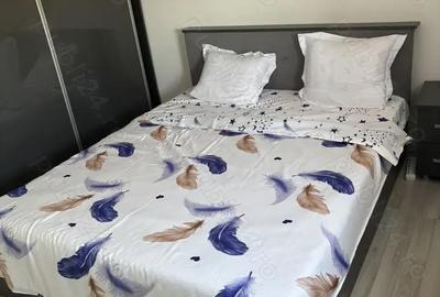 Apartament cu 2 camere decomandat în Kiseleff - 2