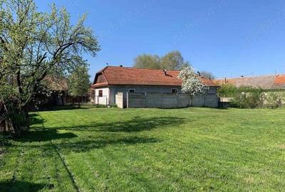 Casa de Vanzare in Boro?neu Mare 130 mp, Teren 3033 mp - 6