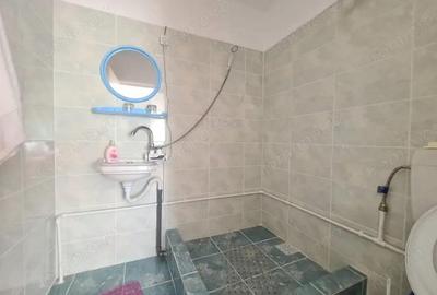 Vanzare proprietate multifunc?ionala, in Arcani, sat Sanate?ti - la DN 67 D - 1