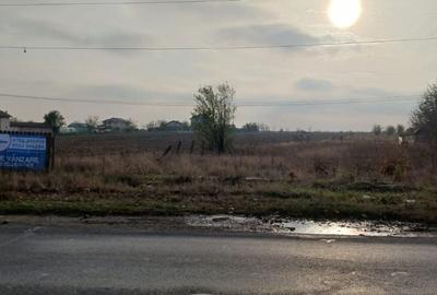 Oltenitei -   Frumusani -Vanzare teren  intravilan - 2