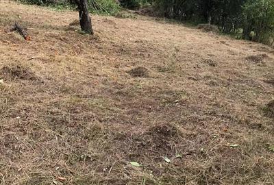 Teren în Geoagiu-Băi - 6
