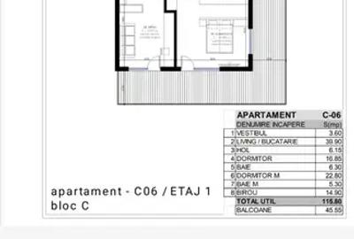 Apartament generos 4 camere + terasă, Erou Iancu Nicolae - 11