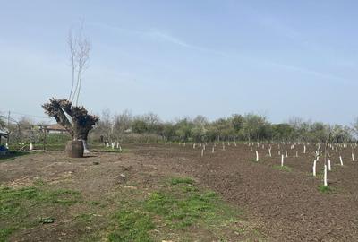 Casă cu 3 camere în Răsuceni - 2