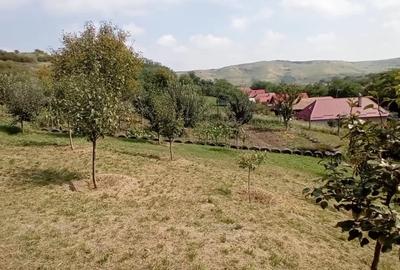 EXCLUSIVITATE! 2 CASE LA PRET DE UNA LA 14 KM DE CLUJ! - 12