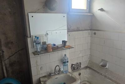 Teiul Doamnei, Mașina de Pâine, Obor, Teiul Doamnei, Mașina de Pâine, Obor, - 13