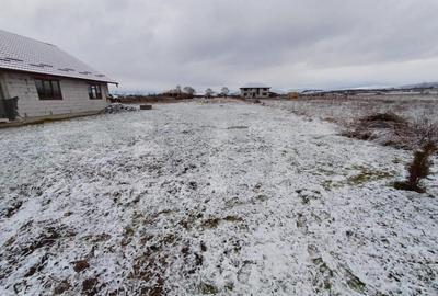 Teren de 1000 mp, în Central