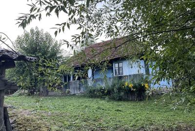 Casă cu 2 camere în Fizeș - 7