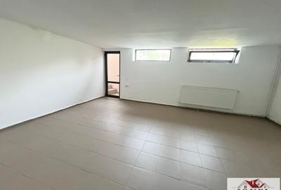 Casa D+P+M de vanzare in Alba Iulia - Orizont - 10