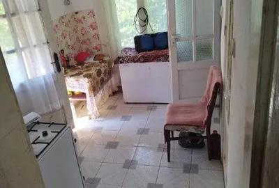 Casă cu 2 camere cu Teren 7500 Mp în Valea Roșie - 2