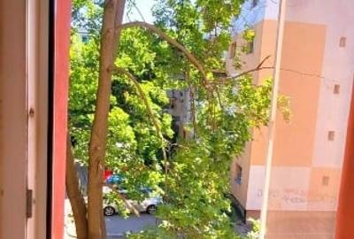 Vanzare Apartament 2 Camere Brazda lui Novac Craiova - 8