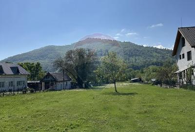 Teren Construcții intravilan de 3606 mp, în Pângărați - 3