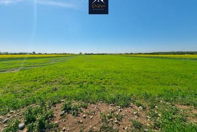 Teren agricol extravilan de 15170 mp, în Domnești - 6