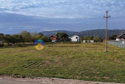 Teren de vanzare 1800 mp Dumbrava Ro?ie - 2