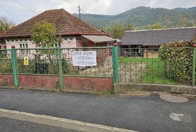 Vind casa ?i gradina 1135mp - 3