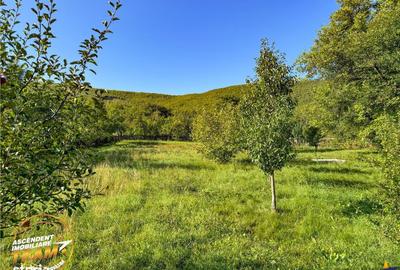 Casă cu 2 camere cu Teren 2989 Mp în Zagon - 17