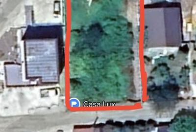 Spațiu comercial, în Vișan