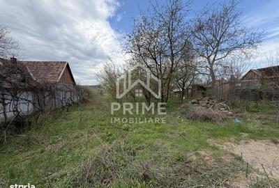 Casă cu 4 camere în Aronești - 6