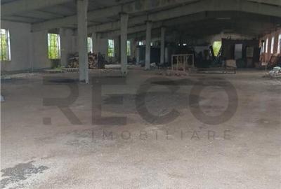 RECO Hale predestinate prelucrarea lemnului, loc. Auseu, sat - 2