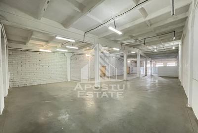 Hala de 670 mp cu birouri 57 mp, Zona Semicentrala - 9