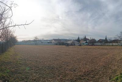 Teren intravilan de 3500 mp, în Păun - 3