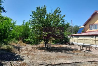 Casă cu 7 camere cu Teren 500 Mp în Movilița - 31