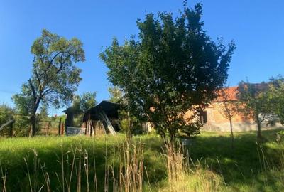 Casa Sacel 120 mp utili, teren 1100 mp si parau - 7