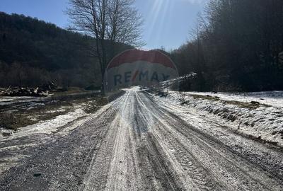 Spațiu comercial, în Cuejdiu - 1