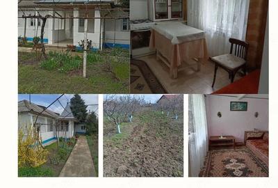 Casă cu 4 camere cu Teren 1593 Mp în Agighiol - 6