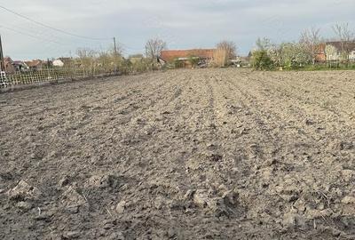 Teren de 1658 mp, în Iecea Mare - 1