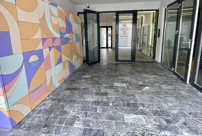 Apartament cu 2 camere decomandat, mobilat în Doamna Ghica - 8