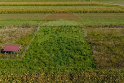 Teren de vanzare 532mp Brasov, Strada Luncii | COMISION 0% Teren de vanzare 532mp Brasov, Strada Luncii | COMISION 0% - 2