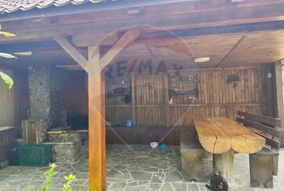 Casa - Cabana de vanzare in Firiza - 15