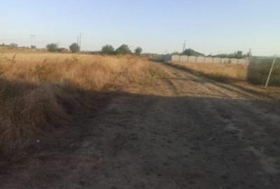 Teren Intravilan | Clinceni - Str Ortansei | 512mp | Utilitati - 3