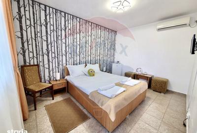 Spațiu comercial, de 271.91 mp, în Limanu - 9