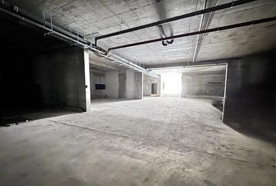 Penthouse Piata Victoriei - Calea Victoriei Penthouse Piata Victoriei - Calea Victoriei - 11