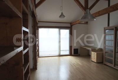 Vila eleganta perfecta pentru resedinta exclusivista/ birouri - 21