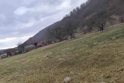 Teren de 1795 mp, în Remeți - 3