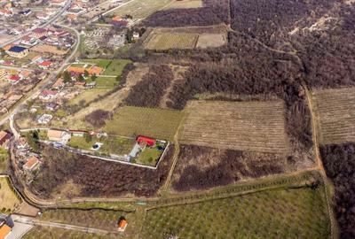 Teren intravilan in ?iria pe deal - 2